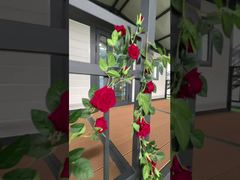 Dom składany z baldachimem